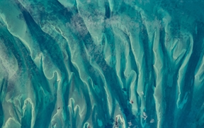 从国际空间站看到的巴哈马周围的蓝绿色水域 