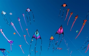 阿德莱德国际风筝节，澳大利亚 