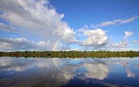 内格罗河，亚马逊河流域，巴西 
