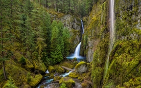 Wahclella Falls，哥伦比亚河峡谷，俄勒冈州，美国 